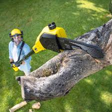 Best Lawn Mowing  in Mauldin, SC