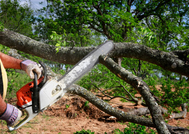 Best Aeration Services  in Mauldin, SC